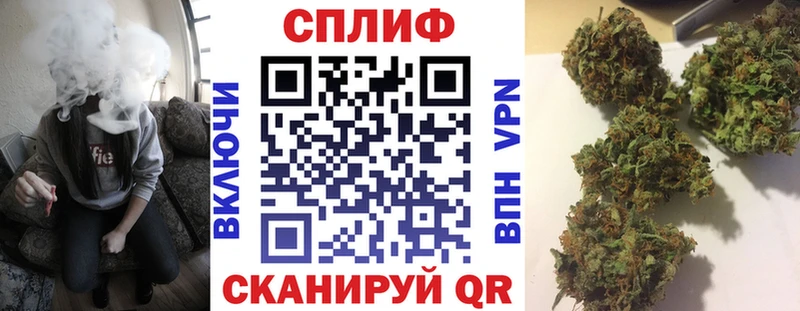ГАШ Кораблино