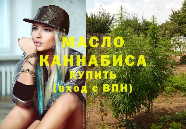 гидра Абаза