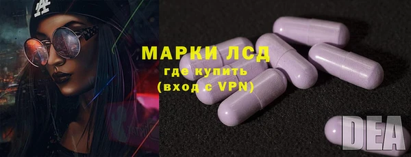 гидра Абаза