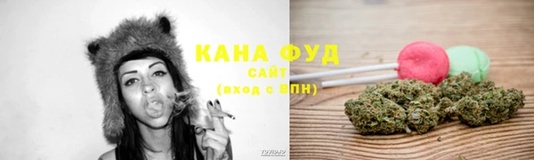 гидра Абаза