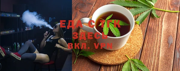 хмурый Ельня